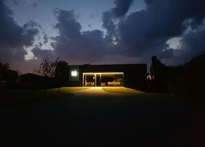 Master Horse Club - Svojetice